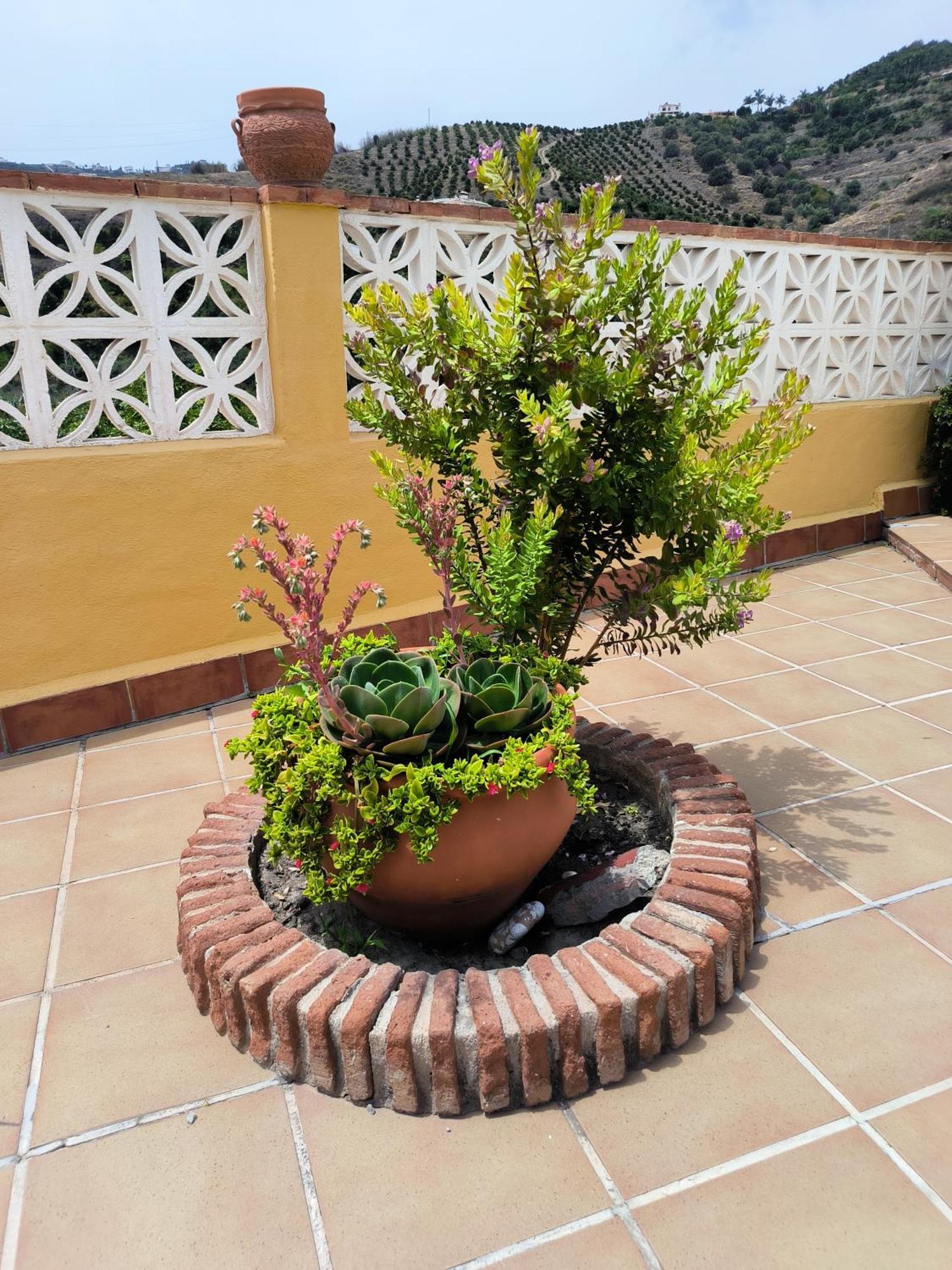 Cortijo Maria Gomez Villa Malaga Exterior photo