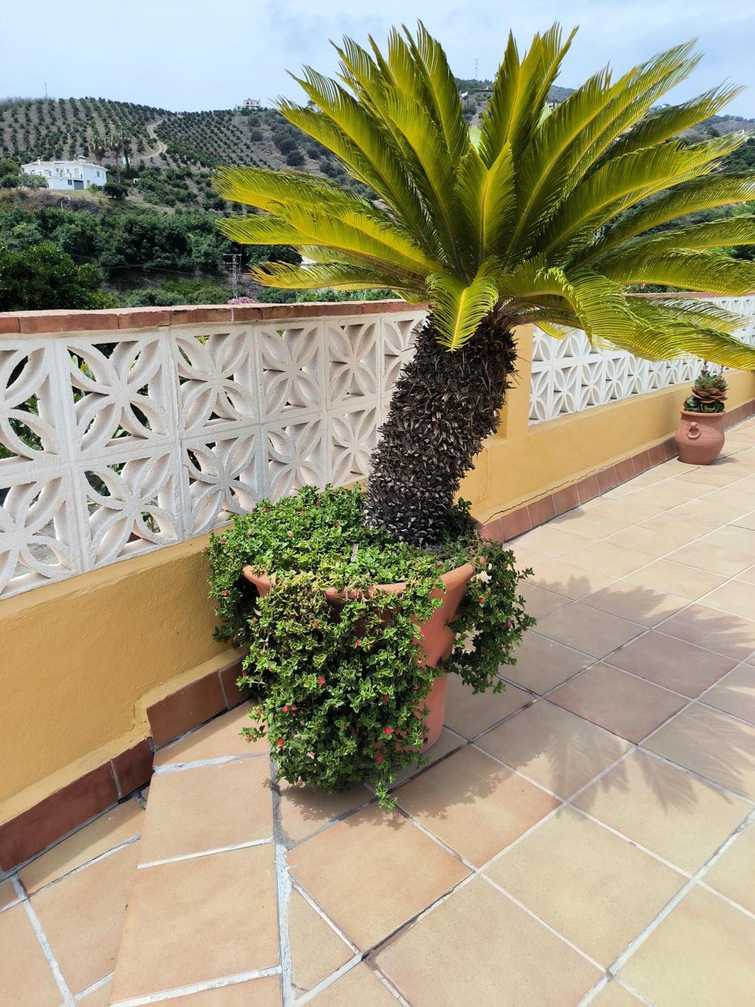 Cortijo Maria Gomez Villa Malaga Exterior photo